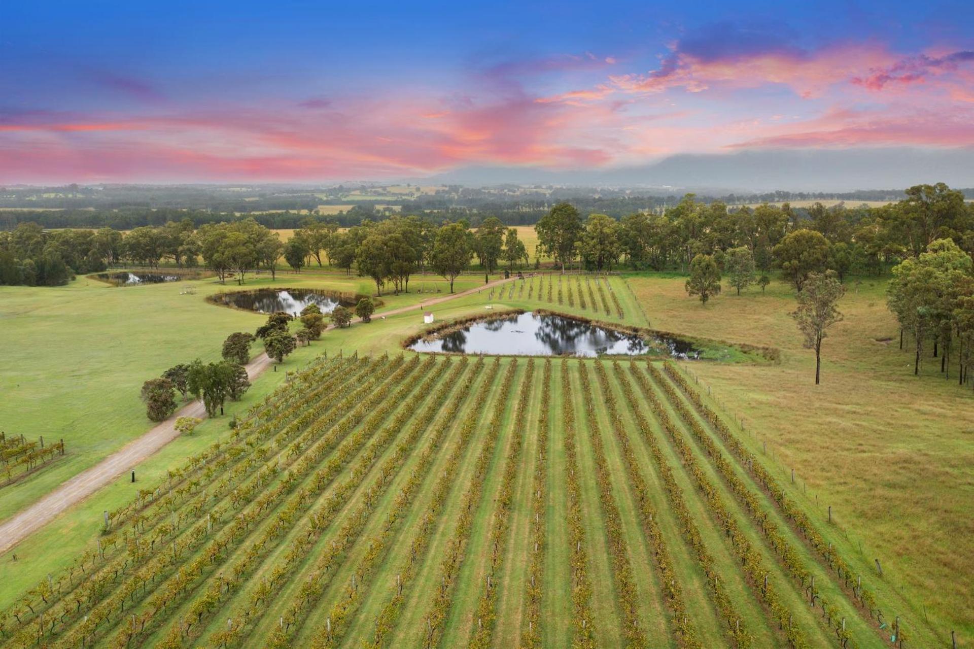 Bracken Ridge Vineyard The Entire Estate Rothbury Kültér fotó