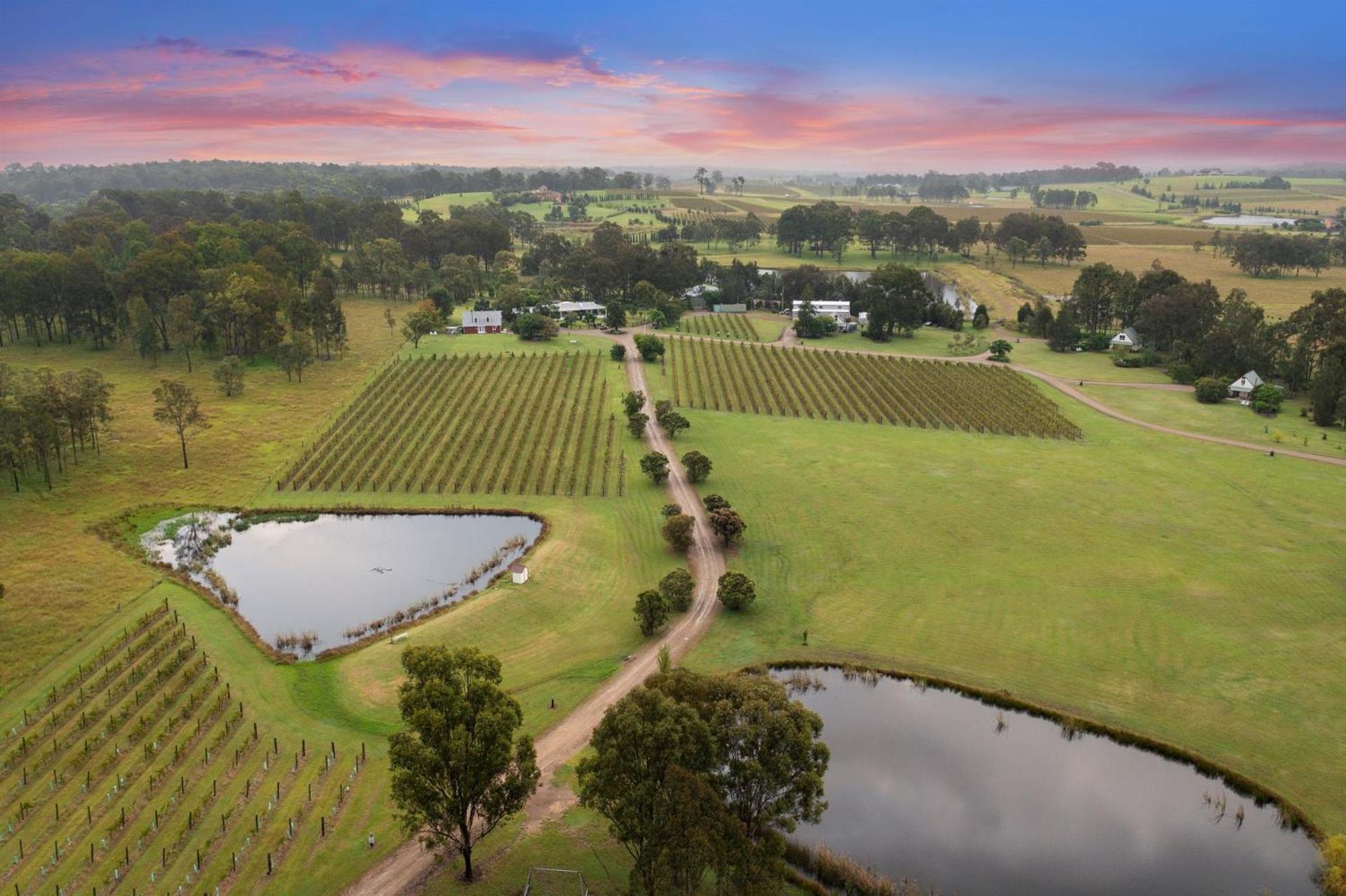 Bracken Ridge Vineyard The Entire Estate Rothbury Kültér fotó